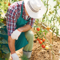 Ropa de trabajo para agricultura