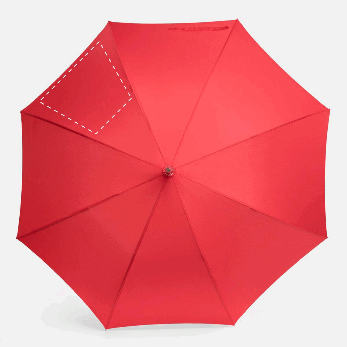 Derecha: 50cm²