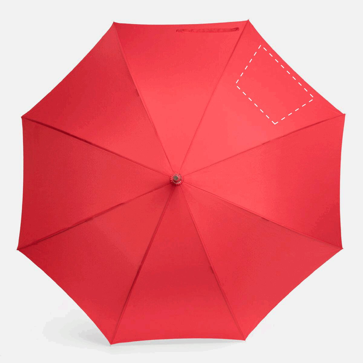 Frente: 50cm²