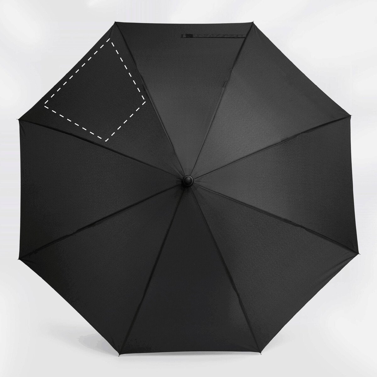 Frente: 50cm²
