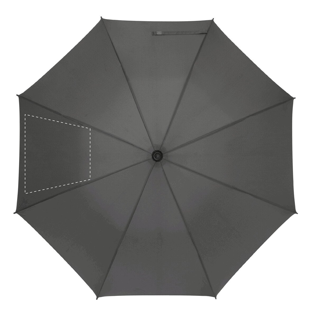 Frente: 50cm²