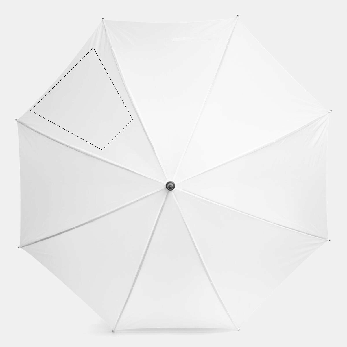 Frente: 300cm²
