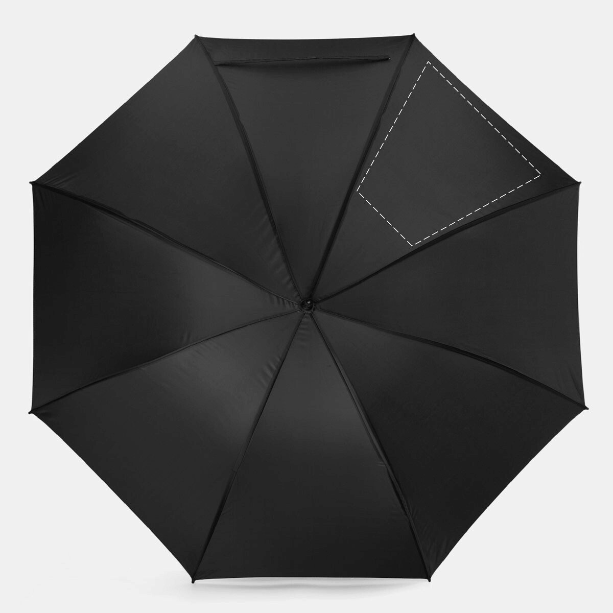 Frente: 50cm²