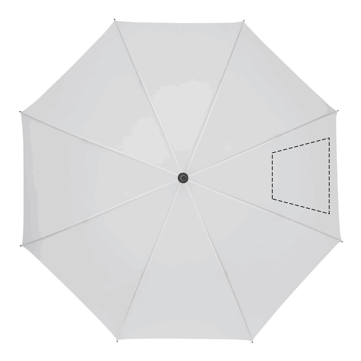Frente: 50cm²