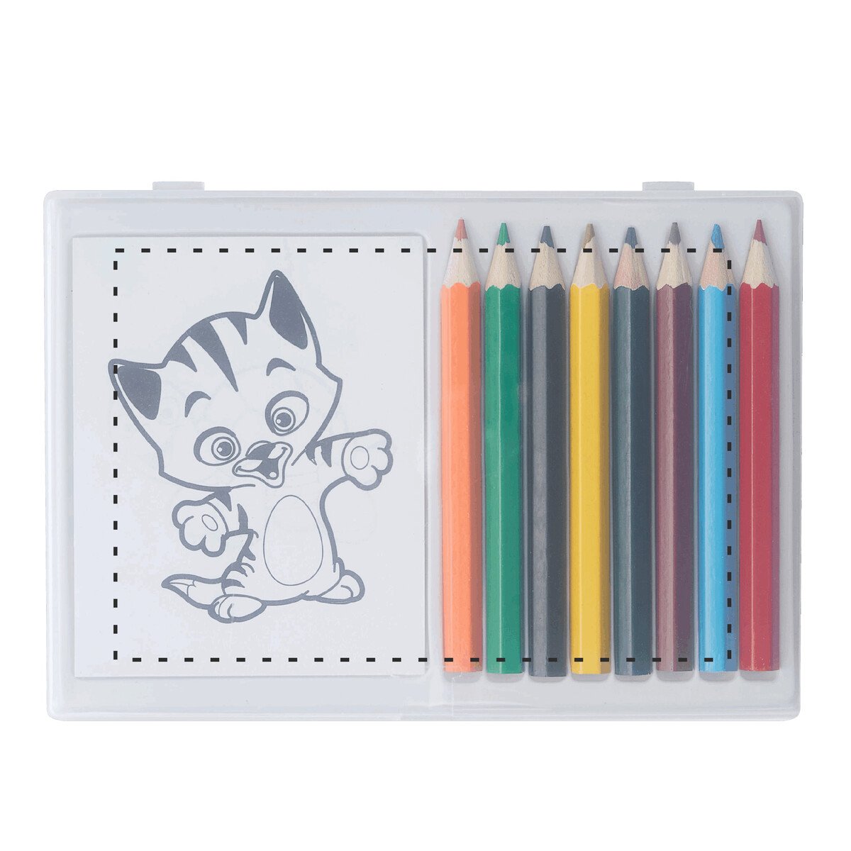 Frente: 6cm²