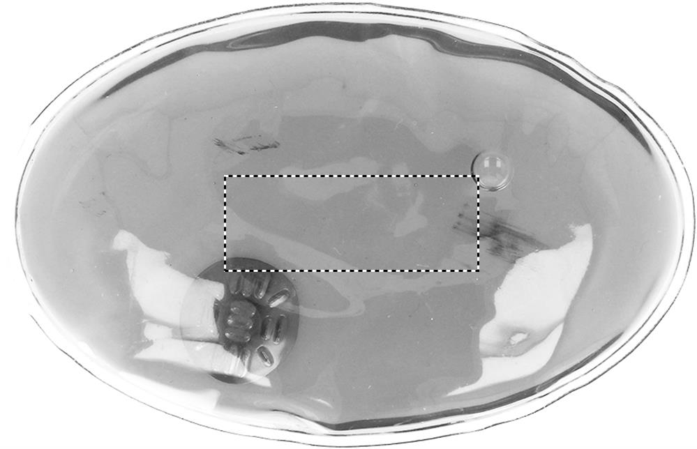 Frente: 40x15 mm
