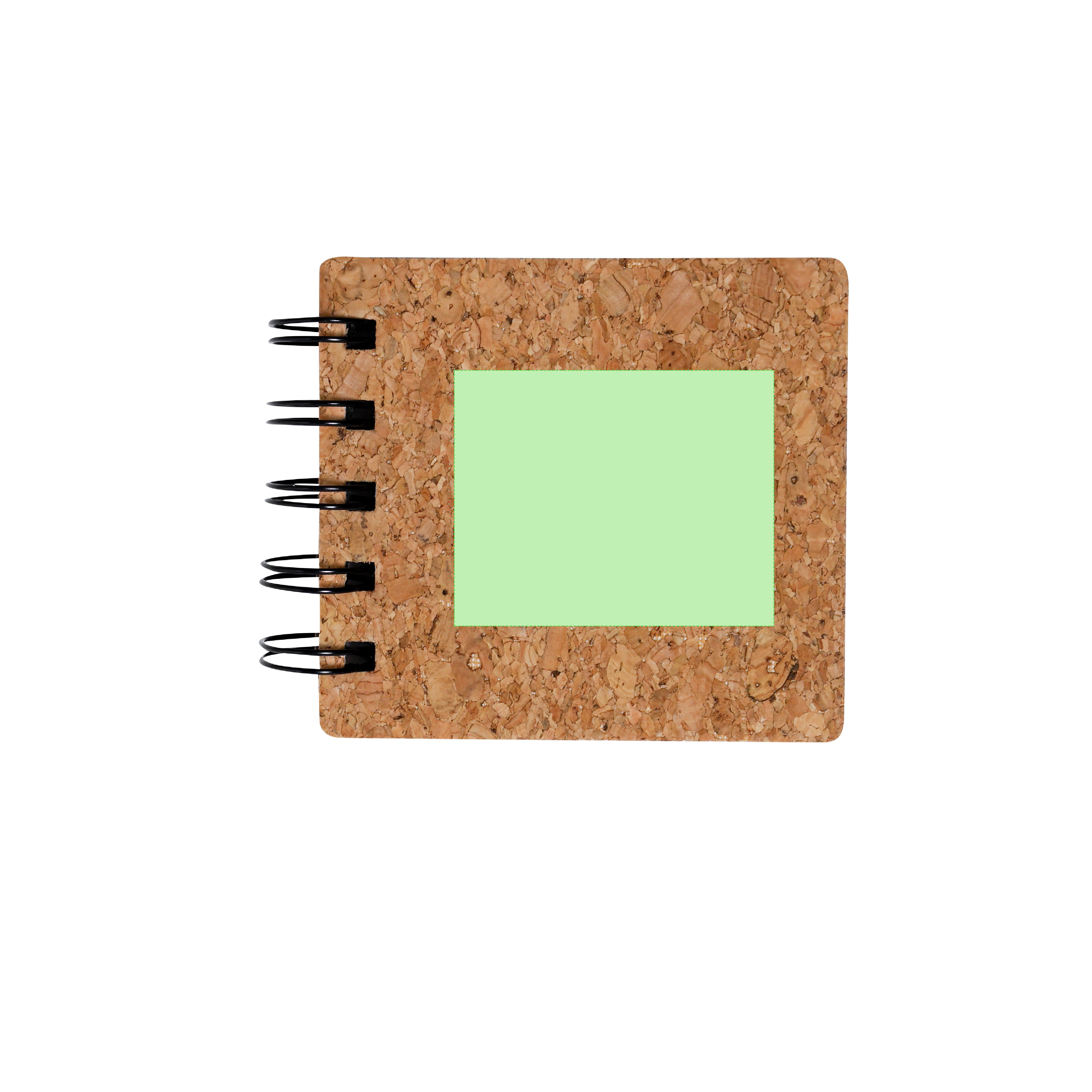 Dorso: 50 x 40 mm
