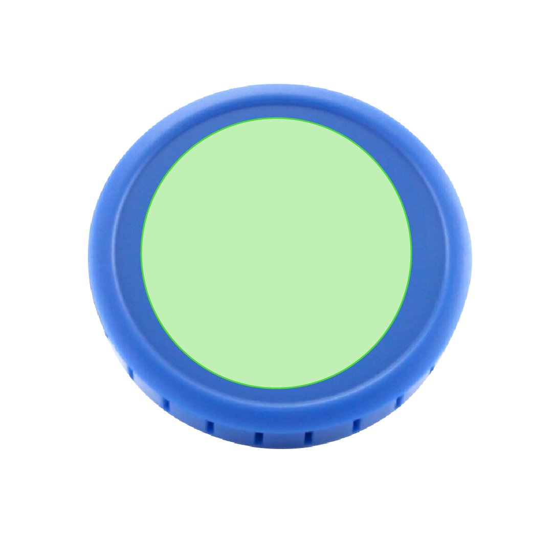 Dorso: h:4.4 w:4.4