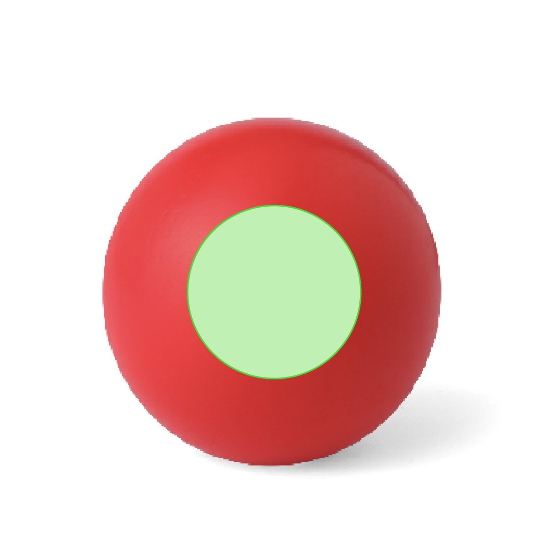 Dorso: h:1.8 w:1.8