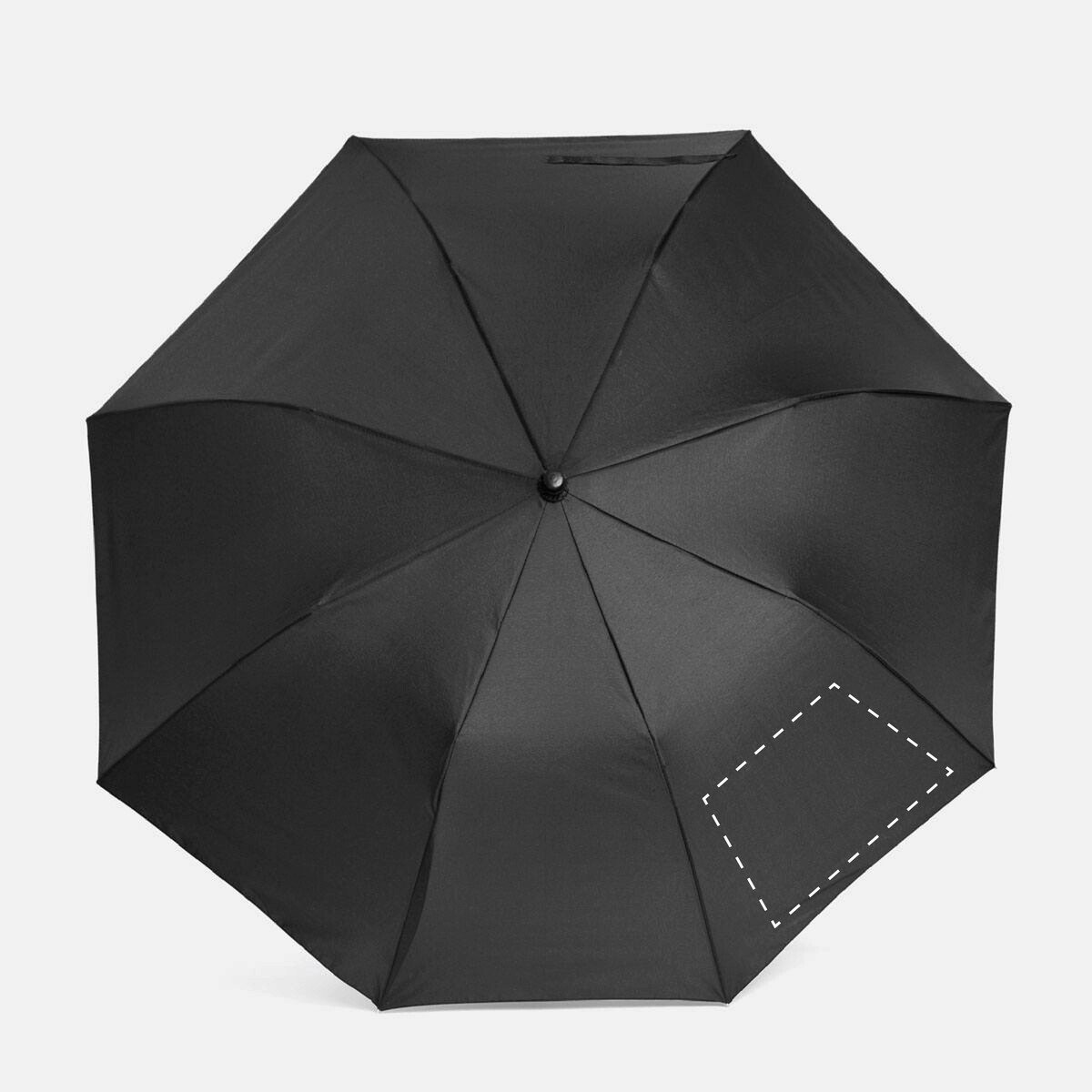 Dorso: 50cm²