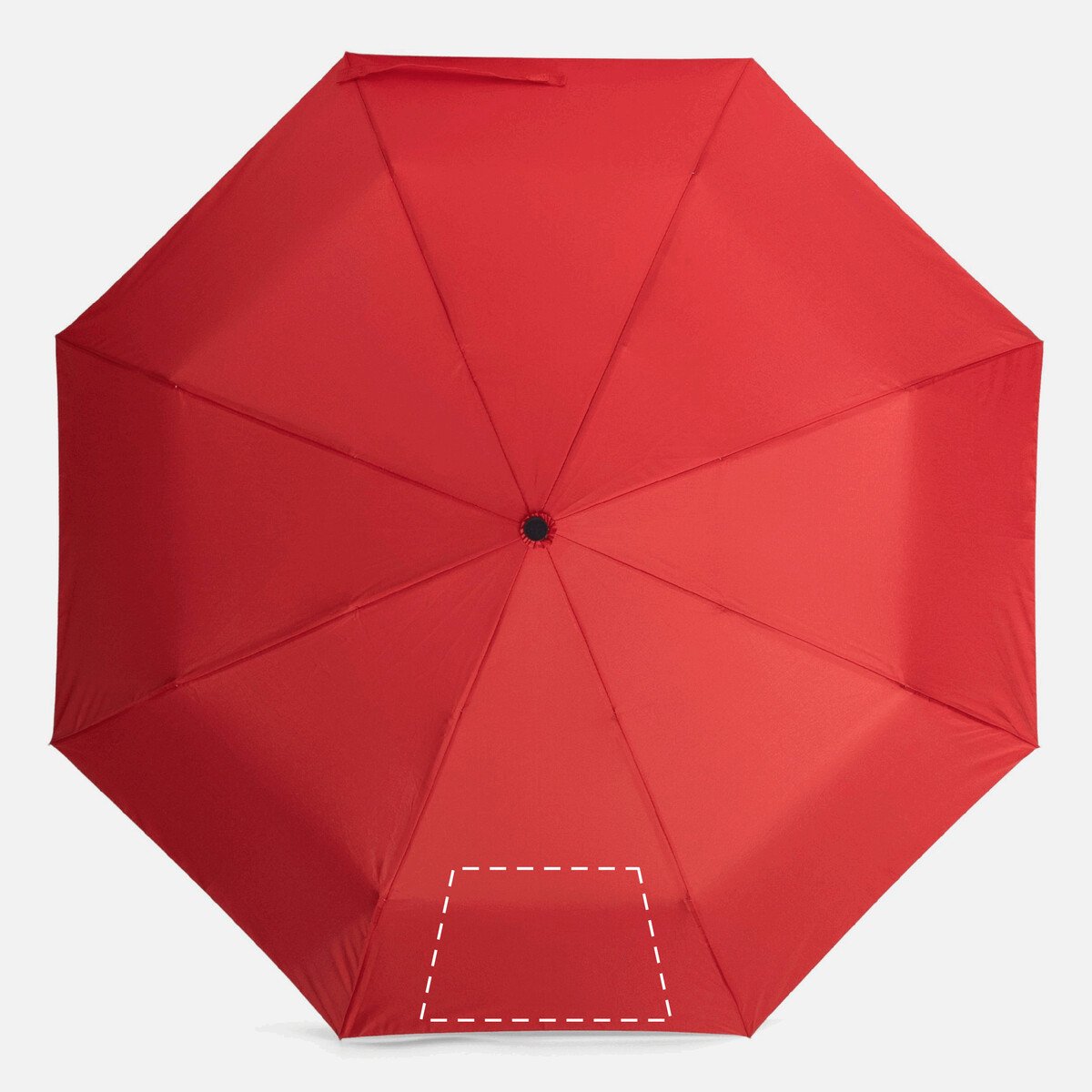 Dorso: 100cm²