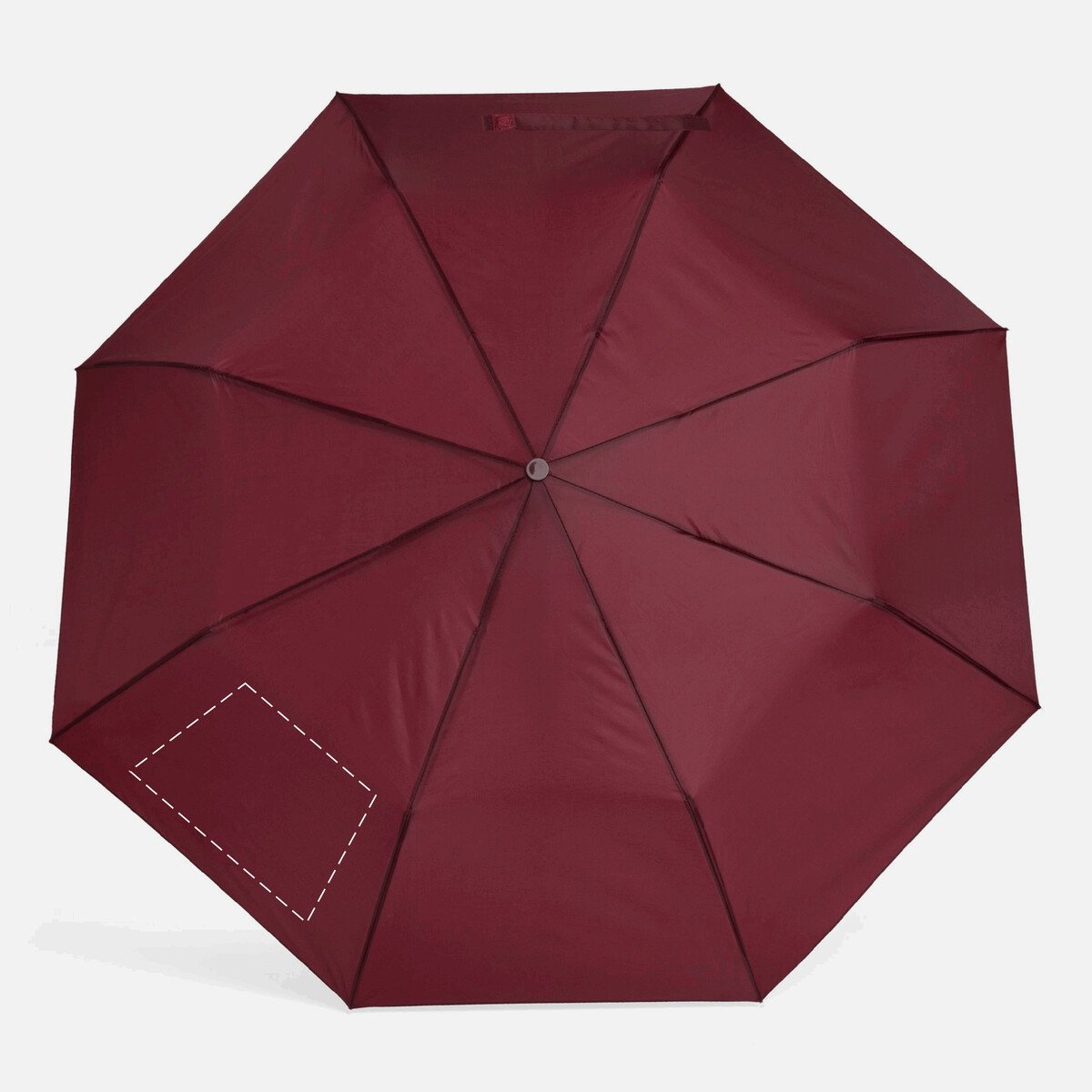 Dorso: 50cm²