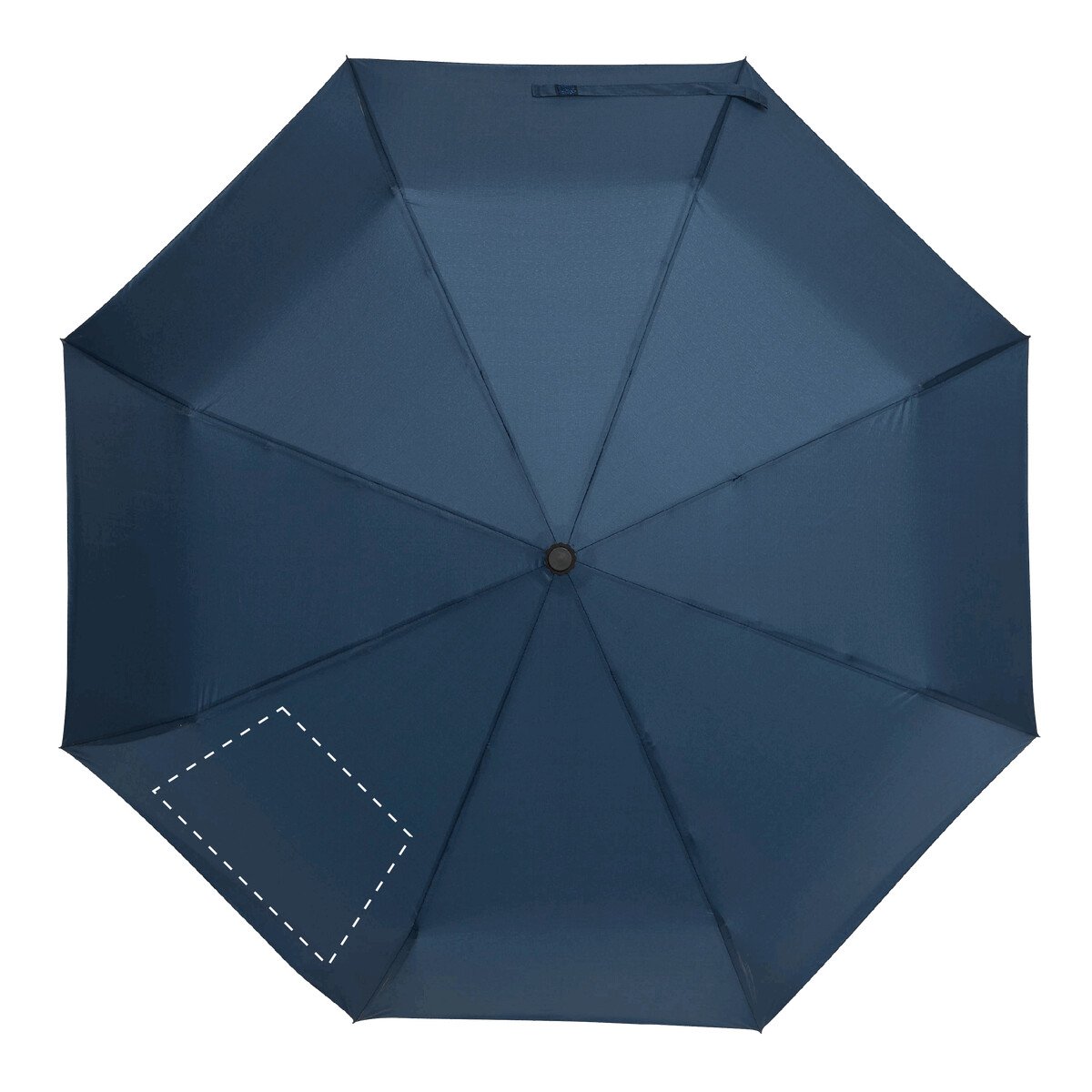 Dorso: 50cm²