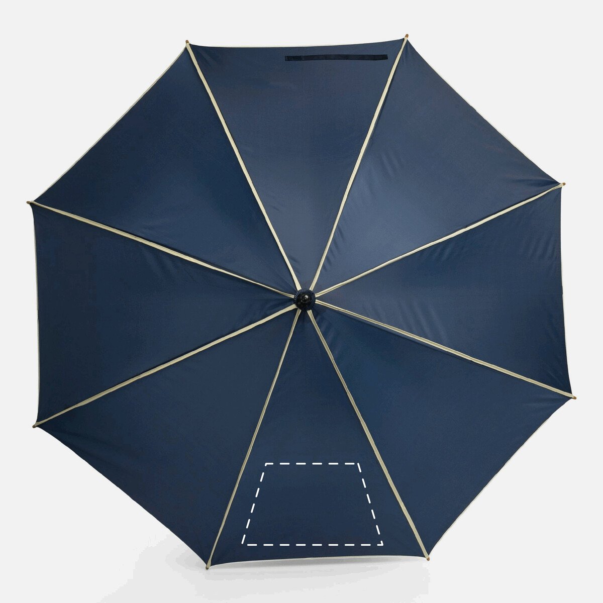Dorso: 300cm²