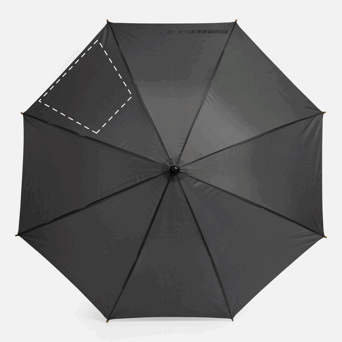 Dorso: 50cm²