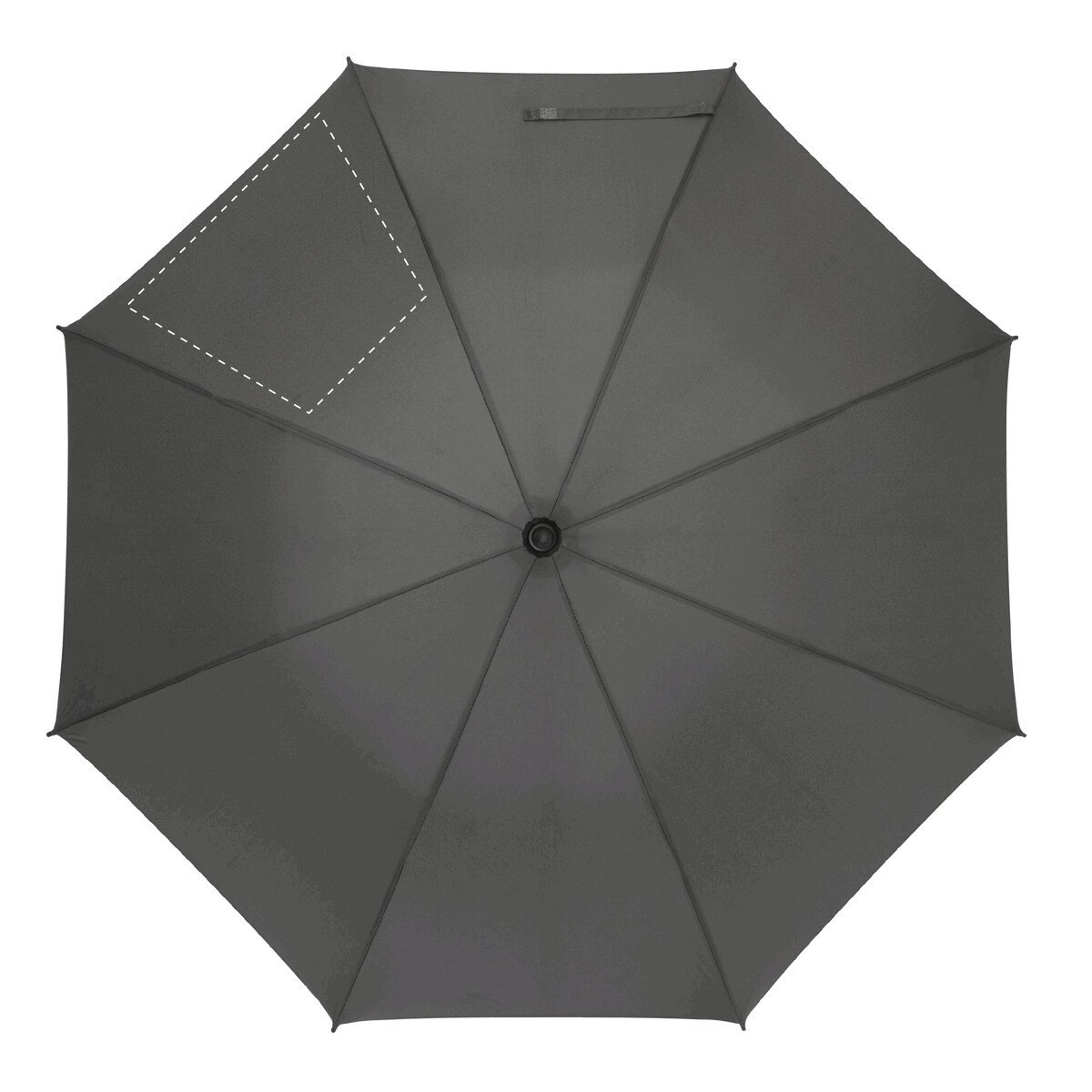 Dorso: 280/170x210mm (473cm²)