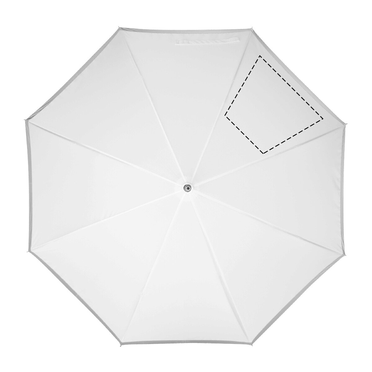 Dorso: 180 x 230 mm