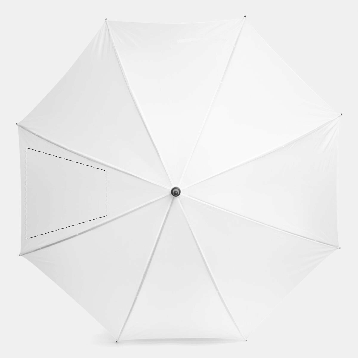 Dorso: 300cm²
