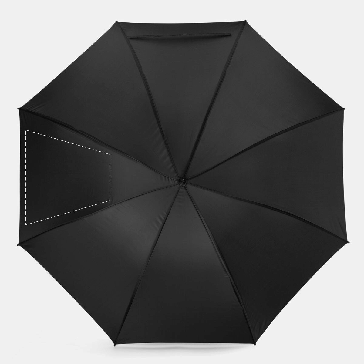 Dorso: 600cm²
