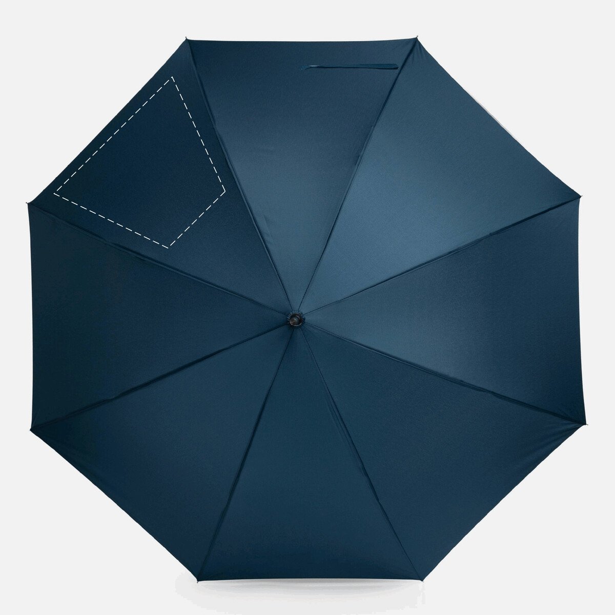 Dorso: 50cm²