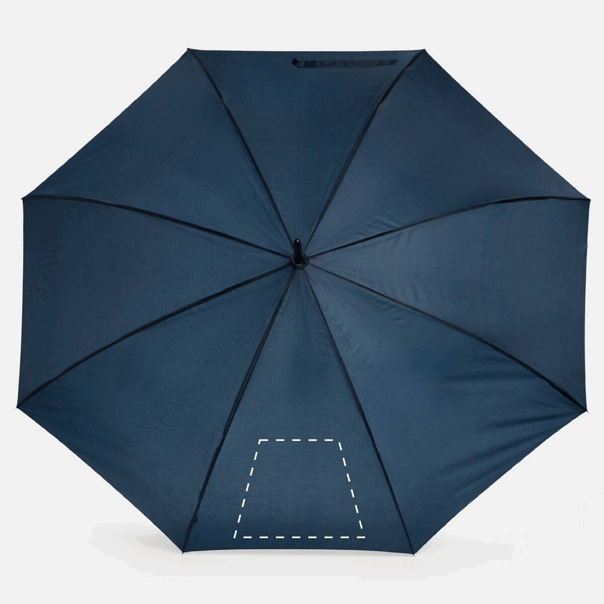Dorso: 300cm²