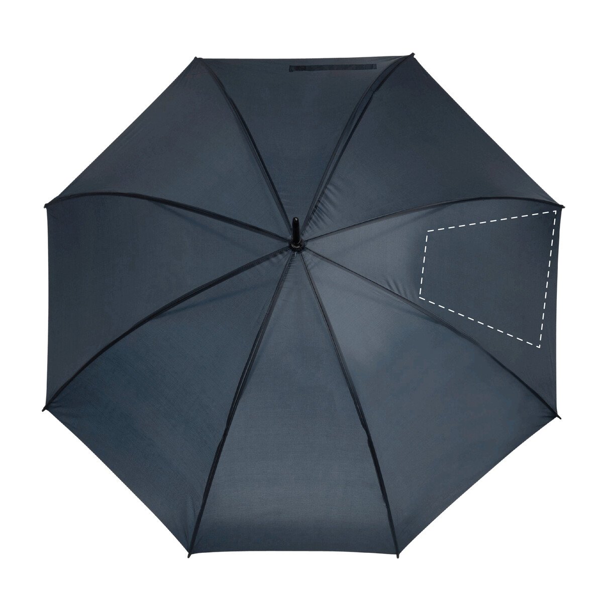 Dorso: 160 x 300 mm