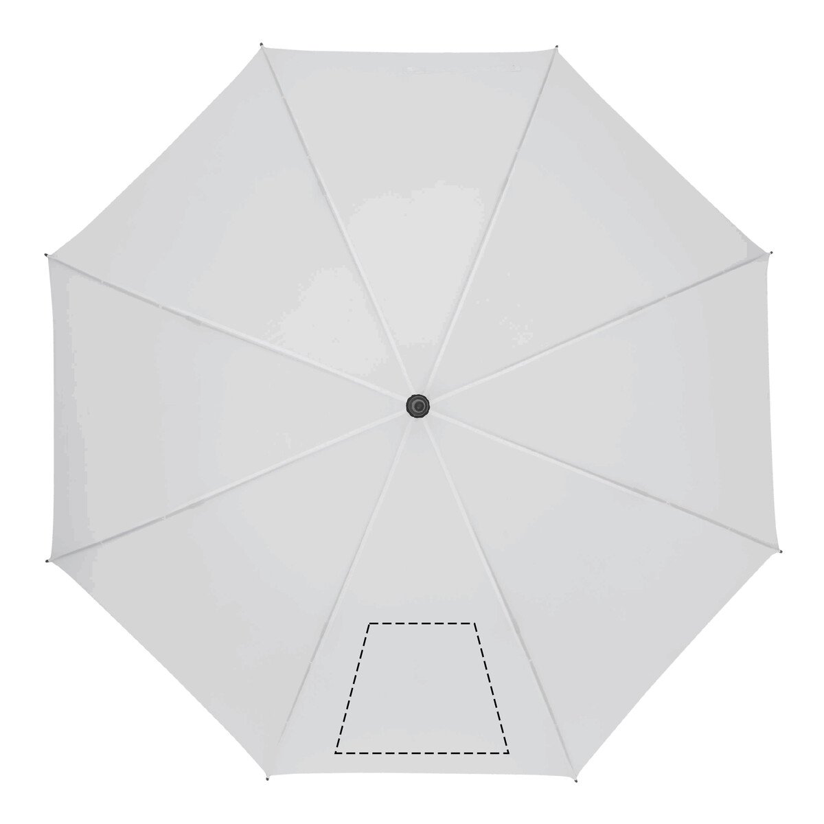 Dorso: 50cm²