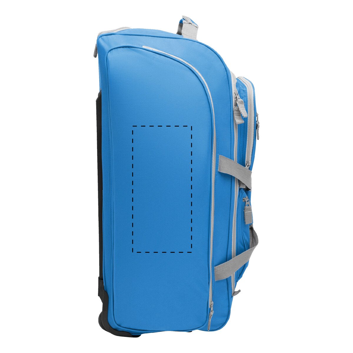 Dorso: 50cm²