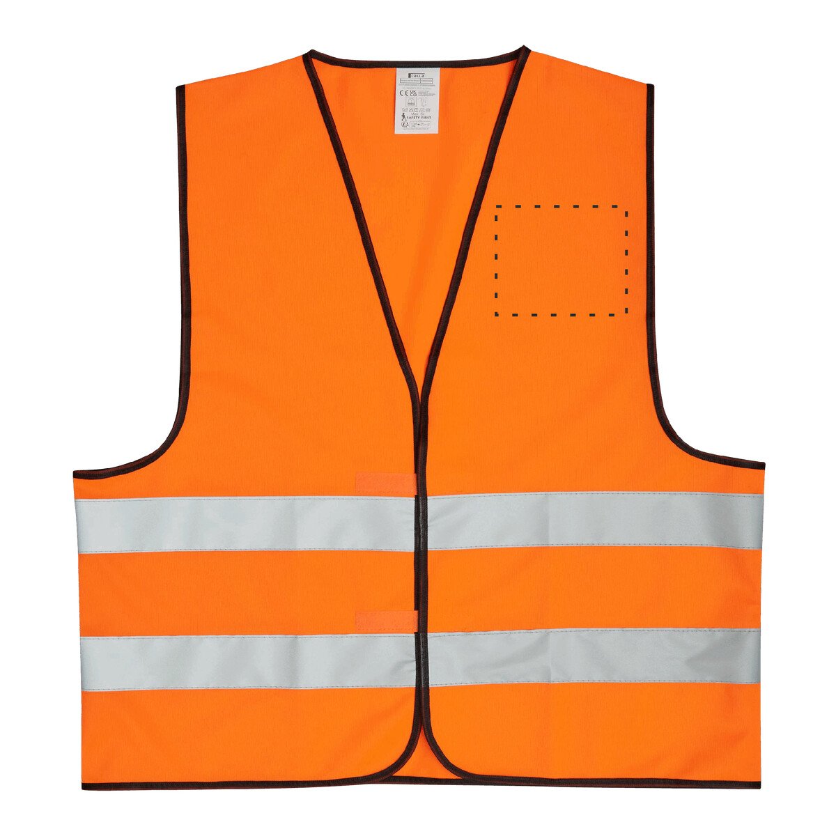 Dorso: 100cm²