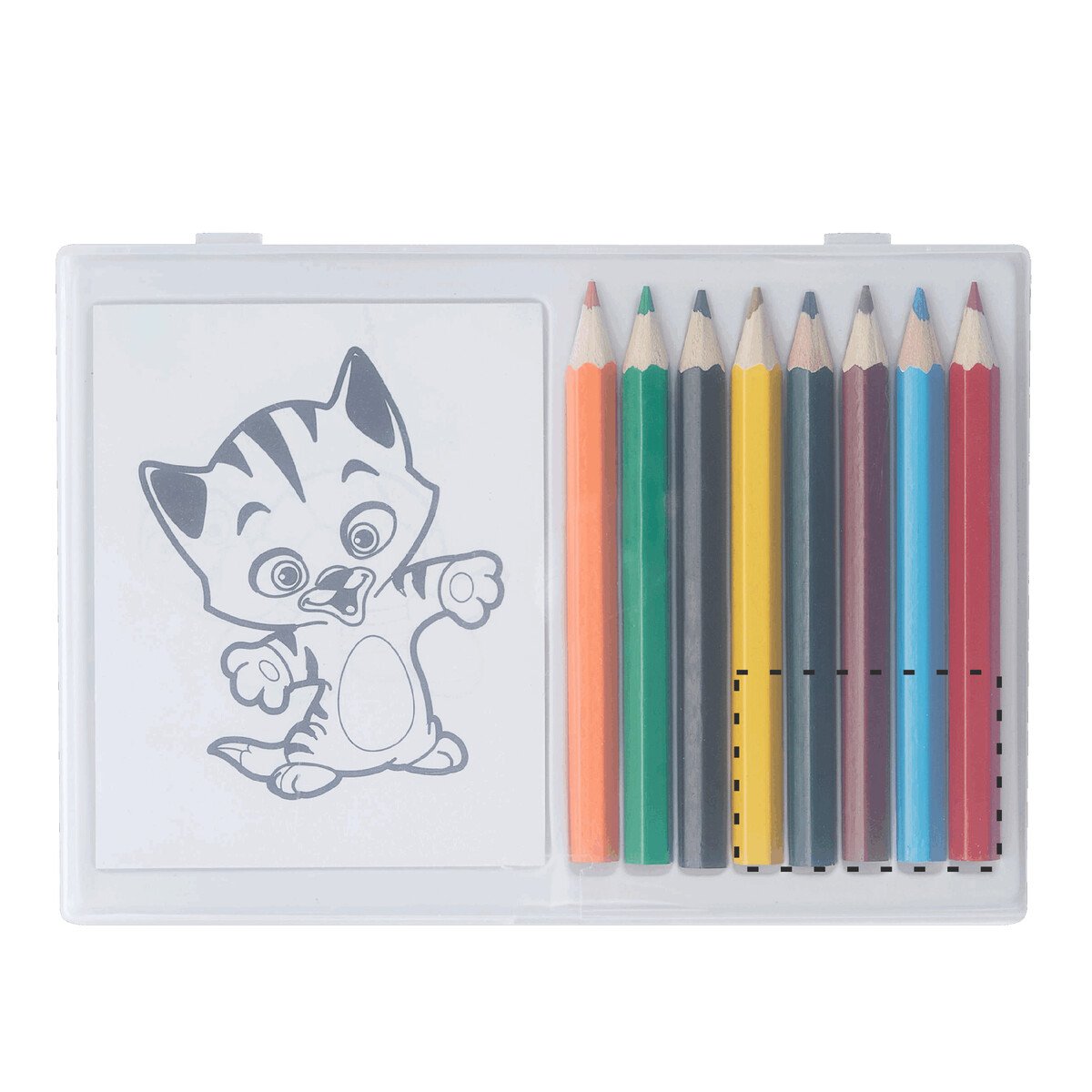 Dorso: 40x30mm (12cm²)