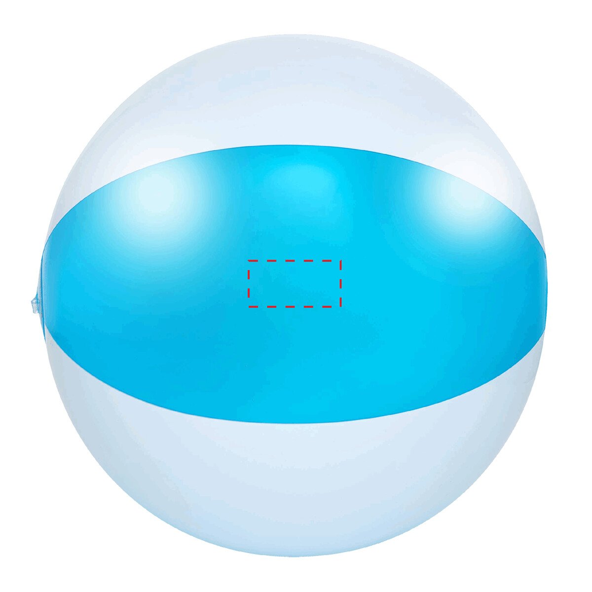 Dorso: 50cm²
