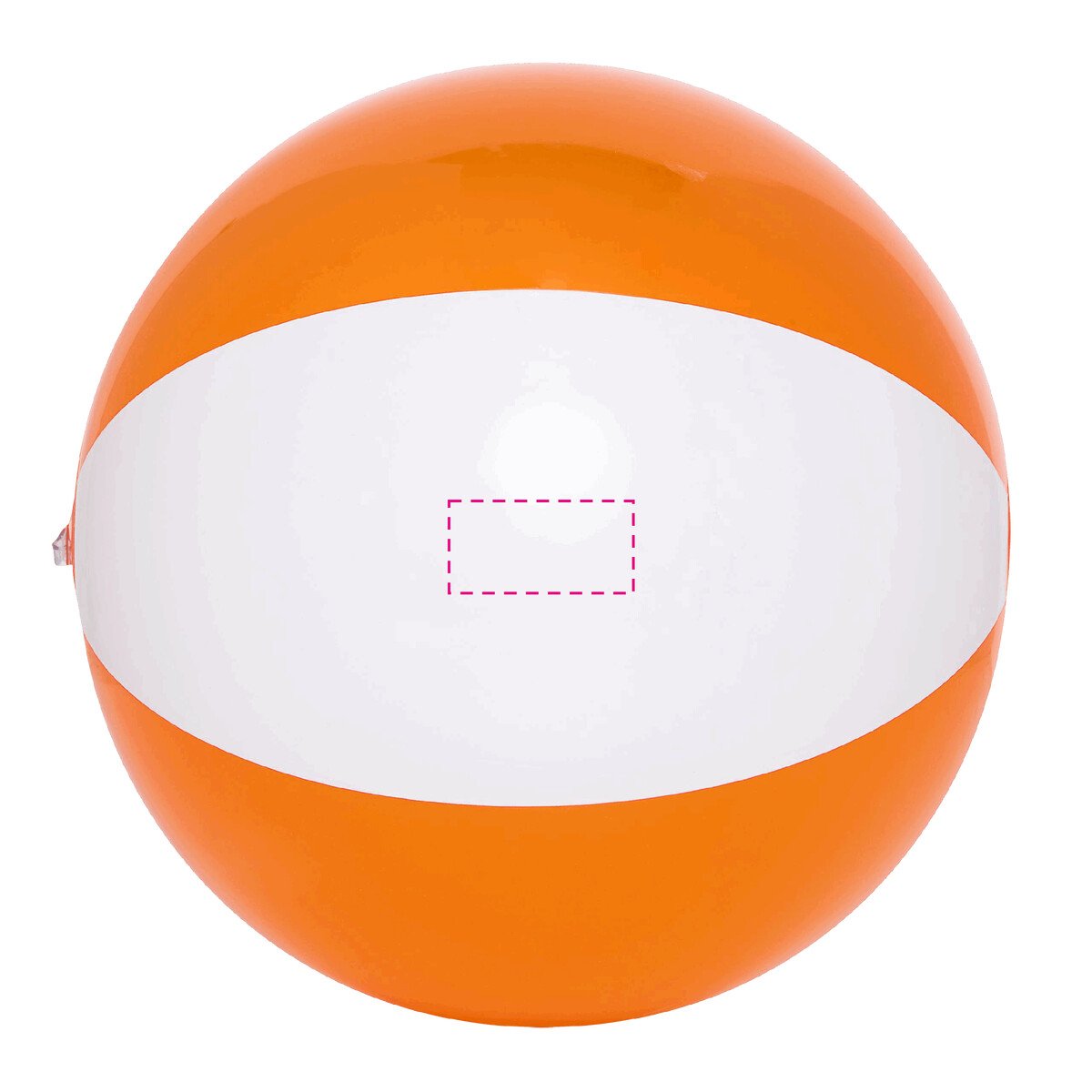 Dorso: 50cm²