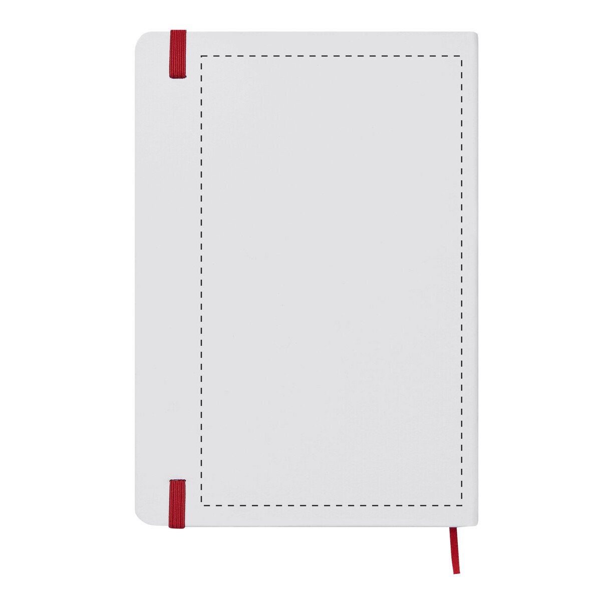 Dorso: 6cm²