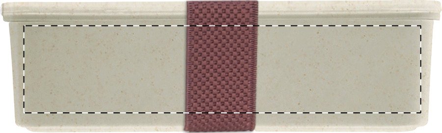 Dorso: W:50 mm x H:30 mm x D:0 mm