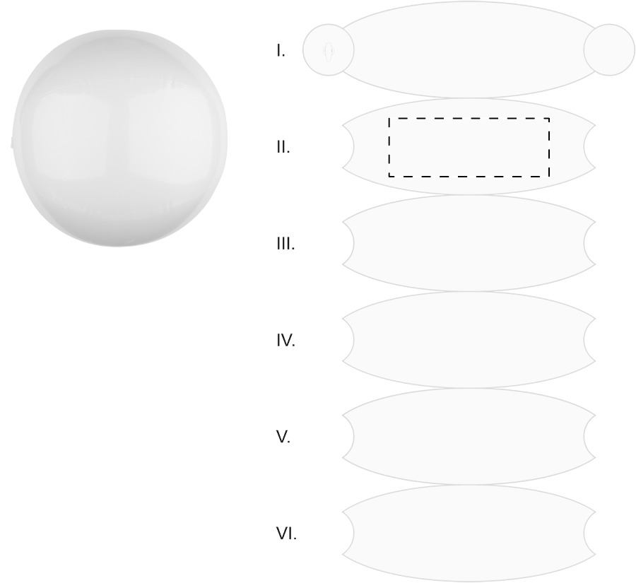 Dorso: 120x50 mm