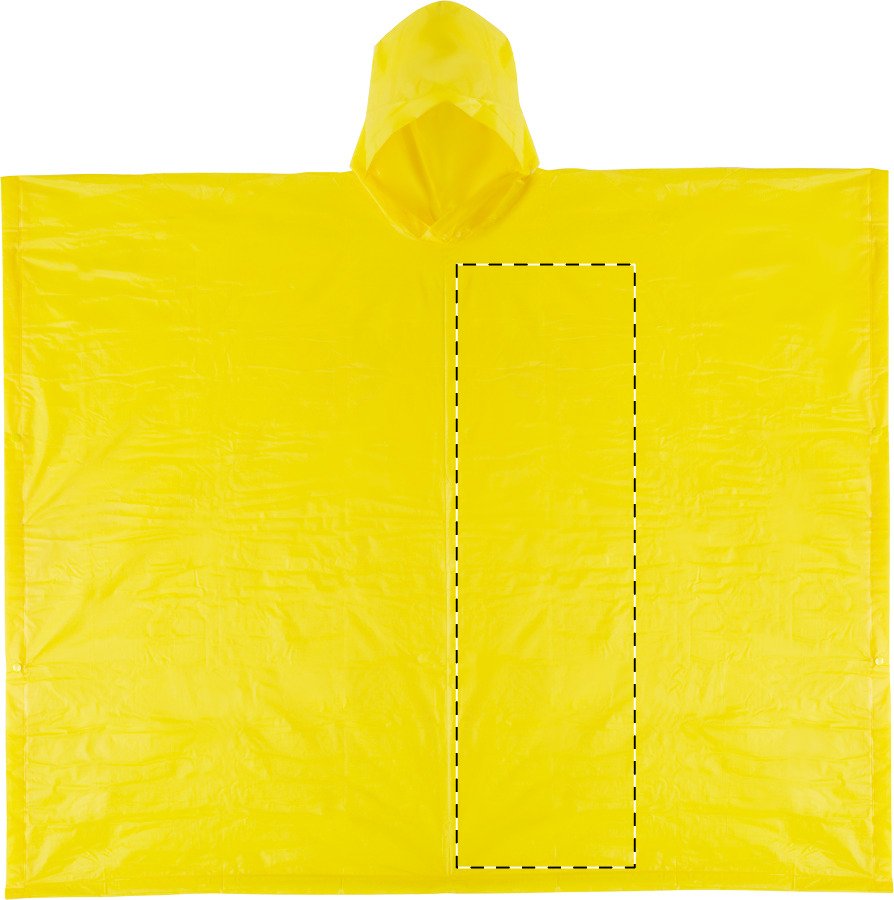 Dorso: 100 x 150 mm