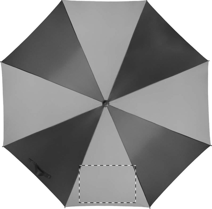 Dorso: 200 x 100 mm