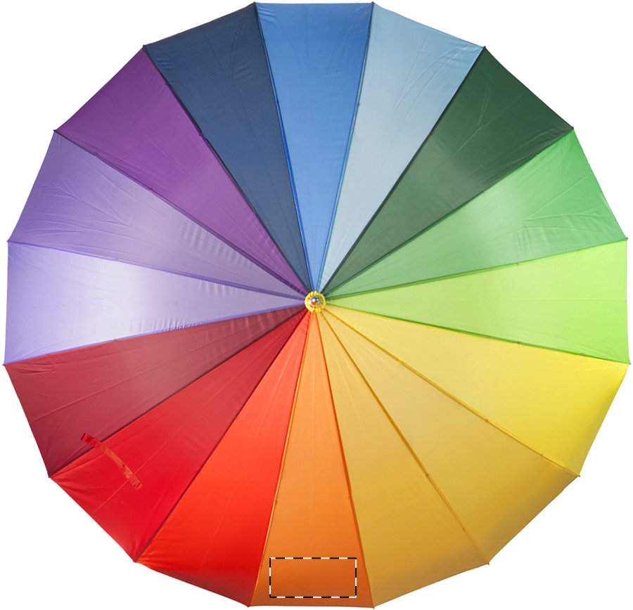 Dorso: 120 x 50mm