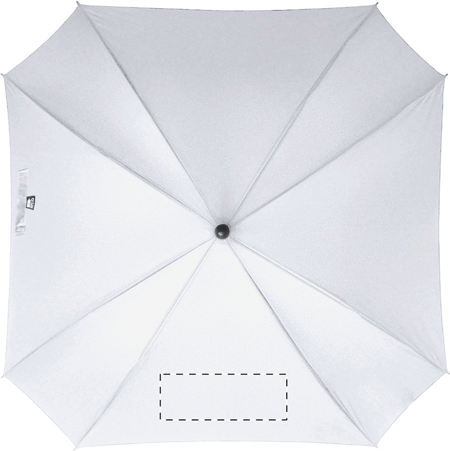 Dorso: 200 x 100mm