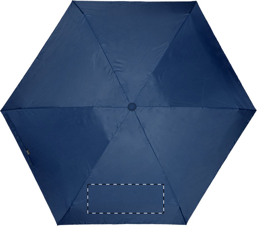 Dorso: 220 x 110mm