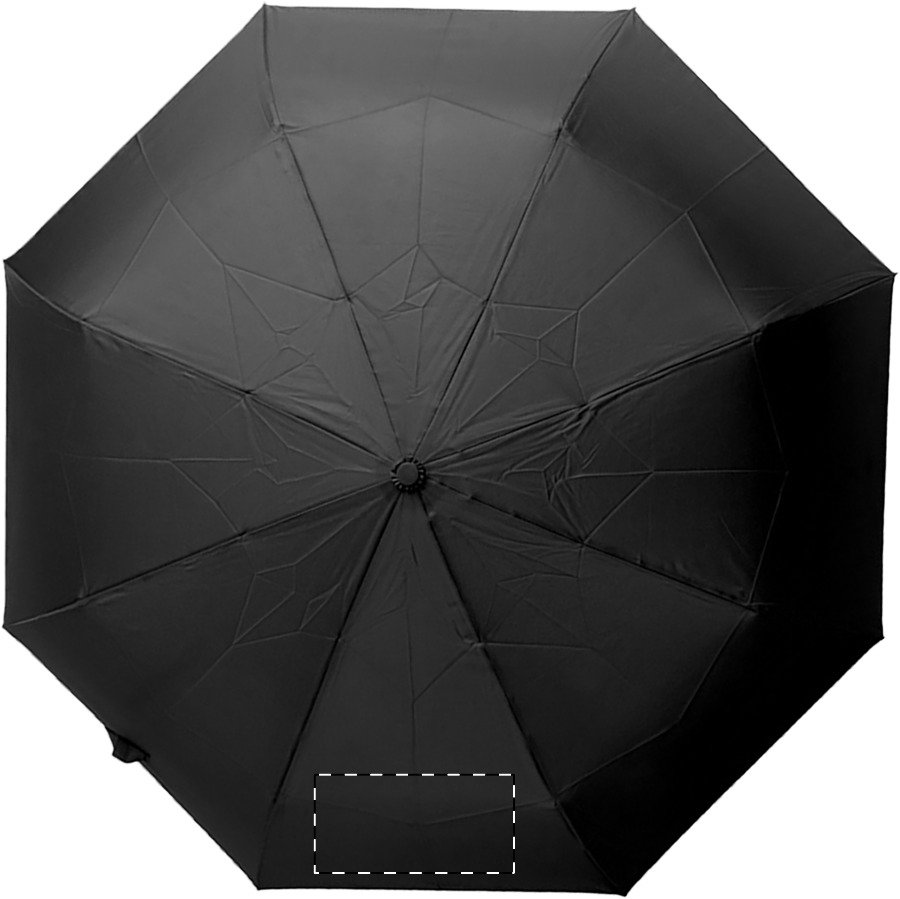 Dorso: 220mm x 110mm