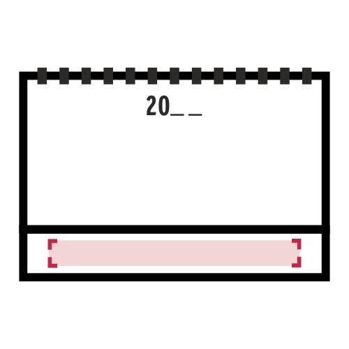 Dorso: 280 x 20 mm