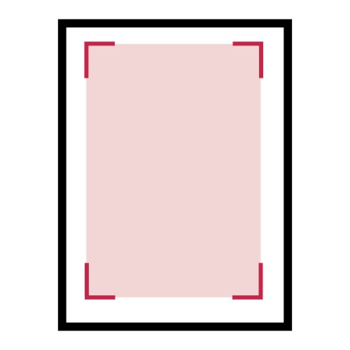 Dorso: 50 x 100 mm