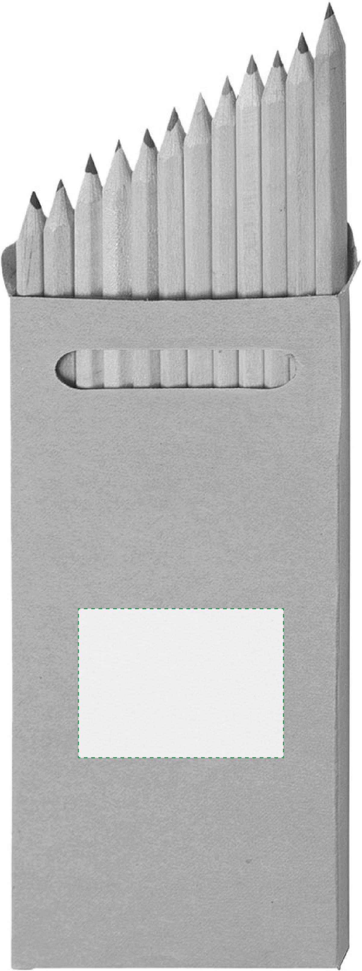 Dorso: 60mm x 40mm