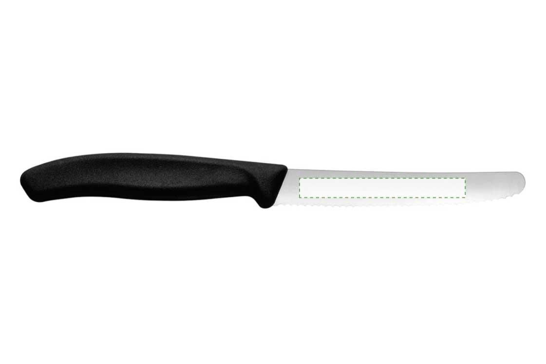 Dorso: 60mm x 7mm