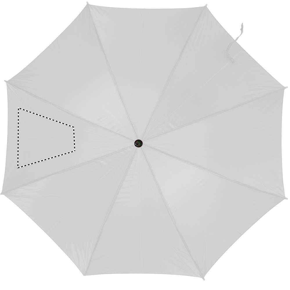 Dorso: 210x210 mm