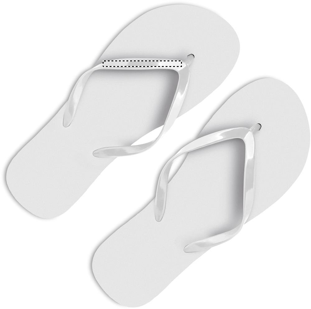 Dorso: 70x5 mm