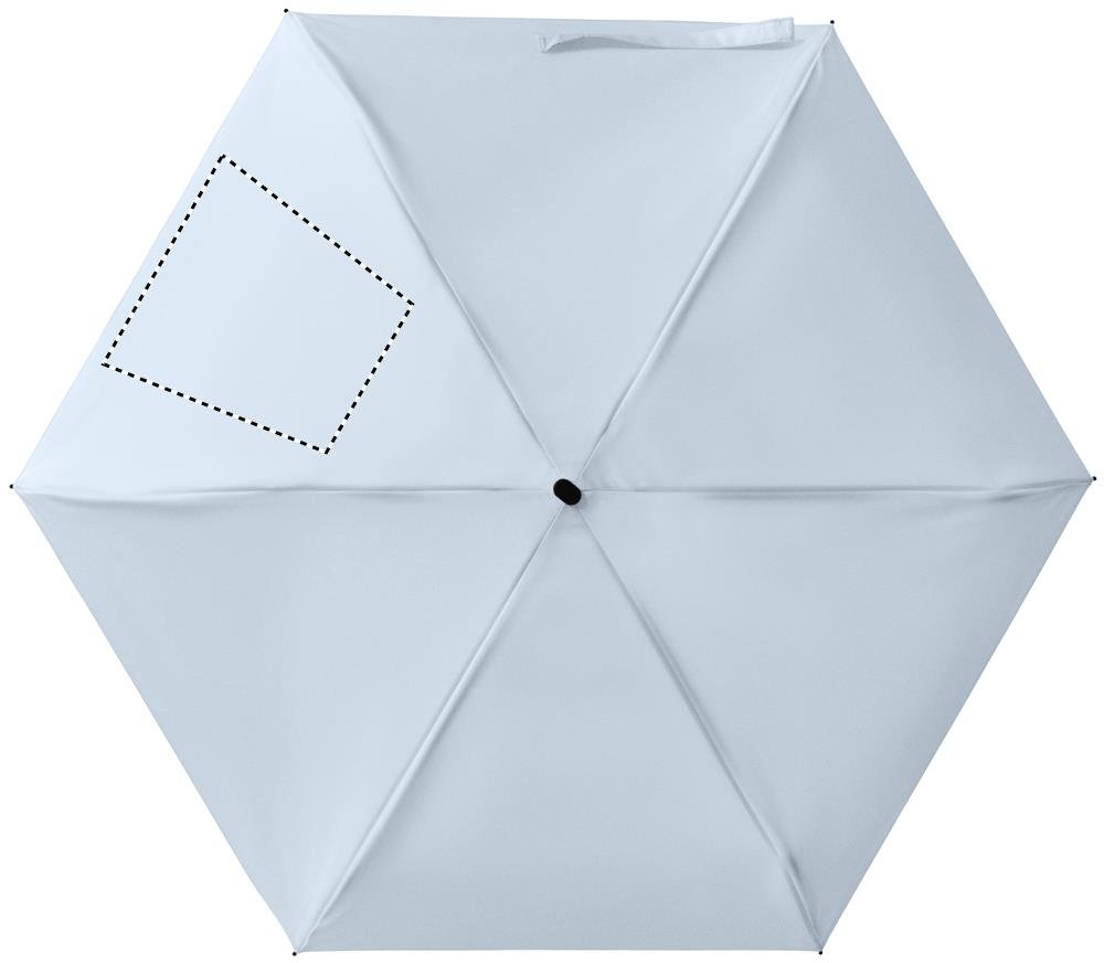 Dorso: 210 x 210 mm
