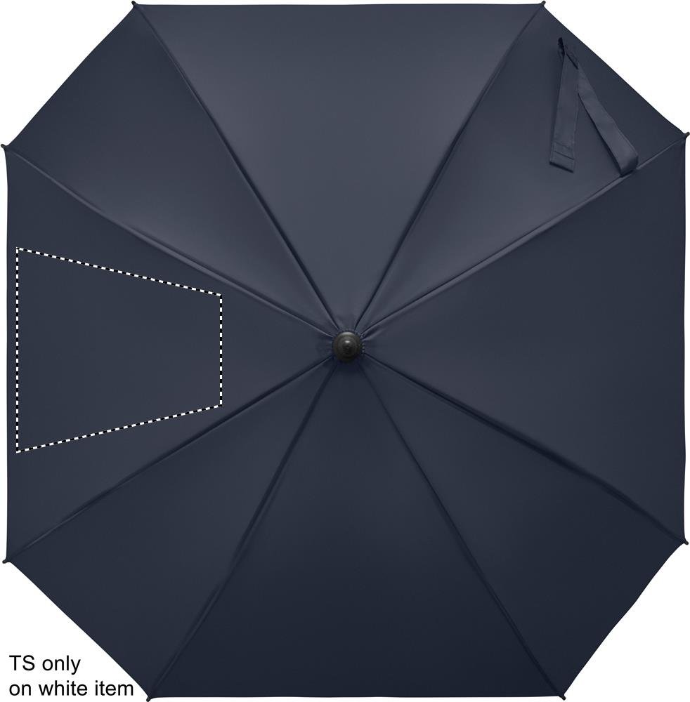 Dorso: 260x260 mm