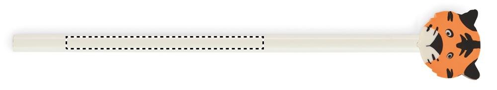 Dorso: 80x5 mm
